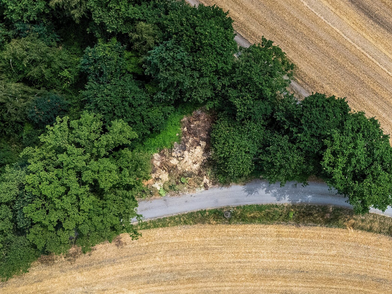 A field road along the edge of a forest from straight above, with a heap of earth and rubbish under the trees