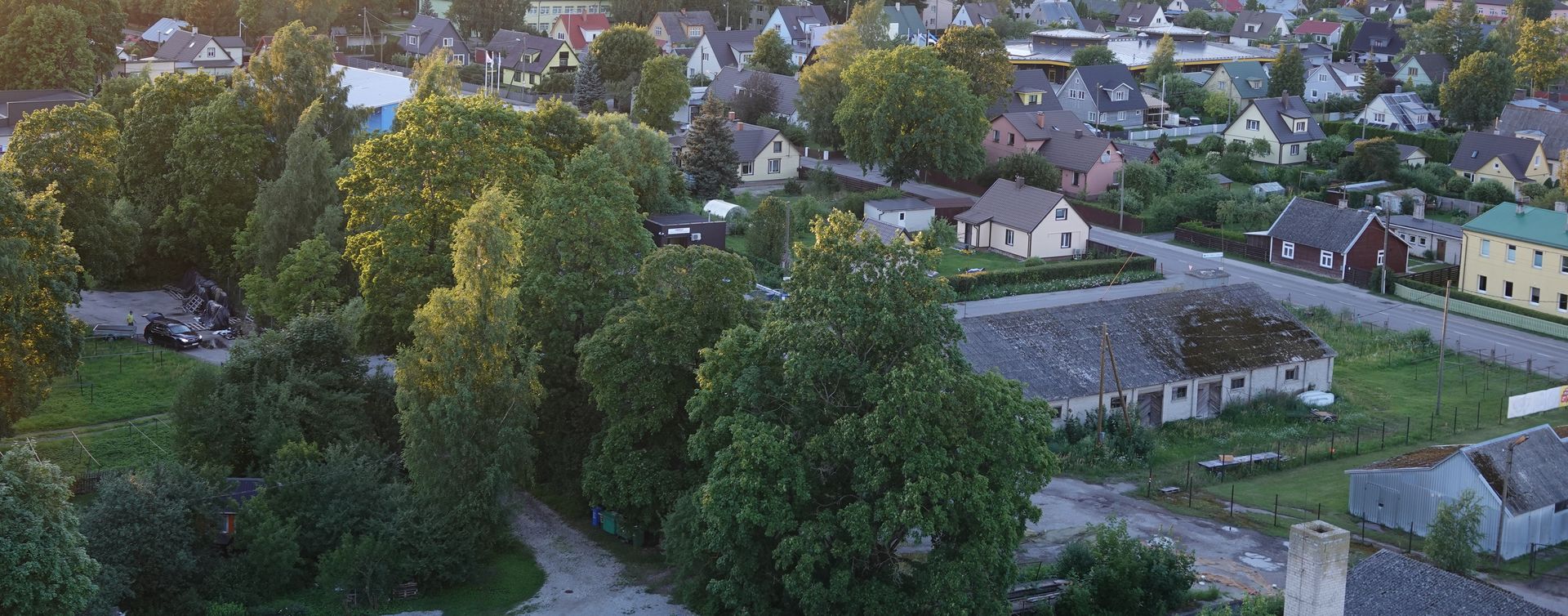 Houses and gardens in Ülejõe, Pärnu, in the evening, seen from a drone